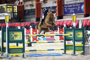 Showjumper/Allrounder