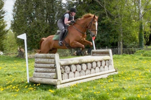Hunt Schoolmistress/Allrounder 