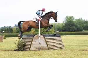 Top Class Event Horse