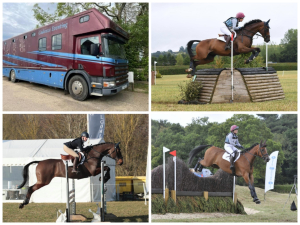 Three Super Event Horses and the Horsebox for sale