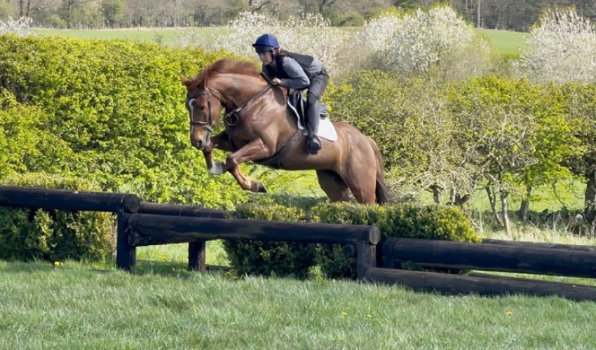 The Ultimate Allrounder