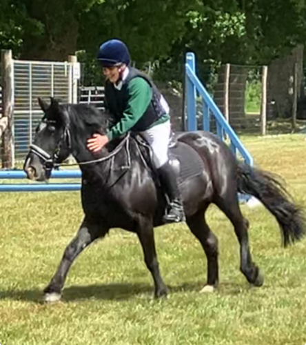 13.2 family/first jumping pony off lead rein