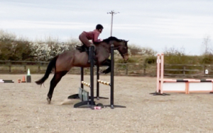 Super Potential Allrounder/Hunt/Event