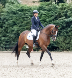 Quality Horse