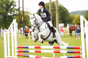 14hh conemmara Gelding- Kind all rounder