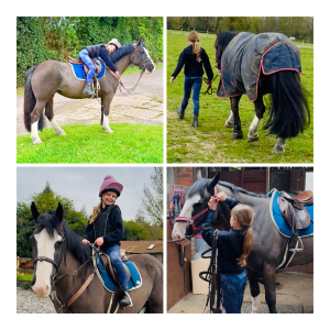FANTASTIC GENUINE ALLROUNDER / BEACH RIDES / SPONSORED RIDES/ FAMILY COB