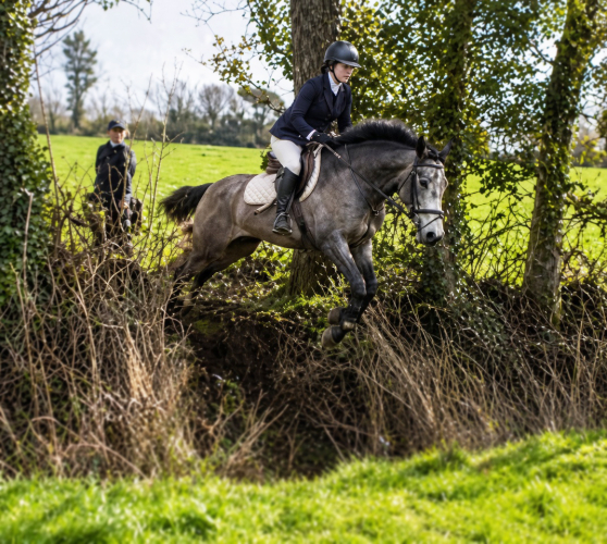 Dandy 15h2” DUN STUNNER