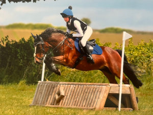 Talented 2016 13.3hh Welsh Section C Gelding 