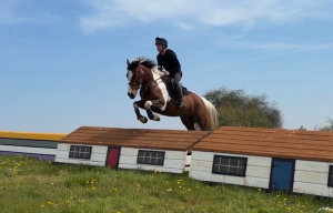 Joe - Super Allrounder! 