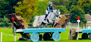 Proven Eventing Championship Superstar