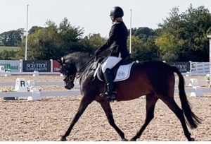 Striking Dressage Pony 