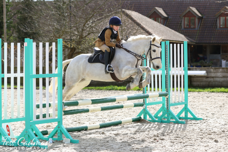 14.1hh, 10 yr old ladies hack/hunt/riding club all-rounder
