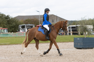 *** ONE IN A MILLION PONY ***