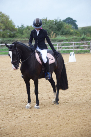 13.3 Pony Mare, Sadly Outgrown