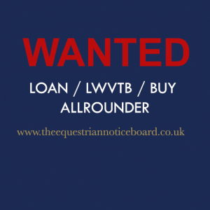 10* forever home desperately seeking special 15.3 - 16.1 