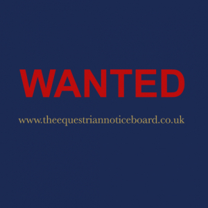 10* forever home desperately seeking special 15.3 - 16.1 