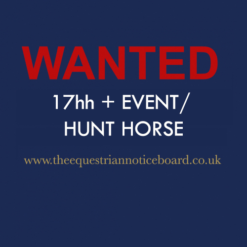 *Wanted 17hh+ Event/Hunt*