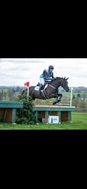 Top class Alrounder/Eventing Pony