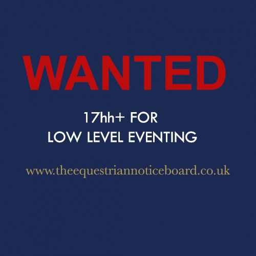 Wanted 17hh+ for low level eventing