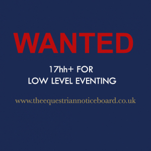 Wanted 17hh+ for low level eventing