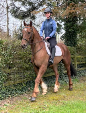 15h Sports Pony