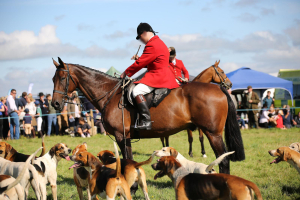 Hunt Horse