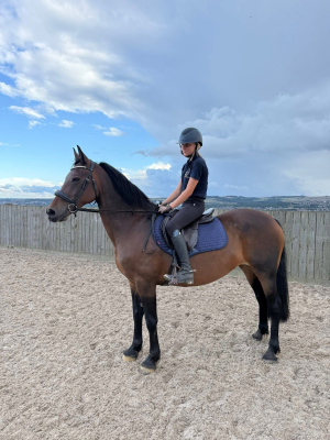 15hh happy hacker 