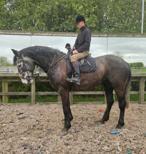 Exceptional mare