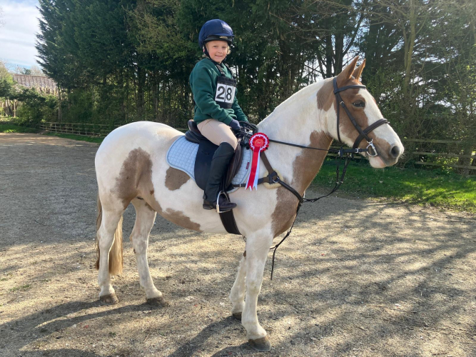 FUN TEENAGER OR SMALL ADULT PONY