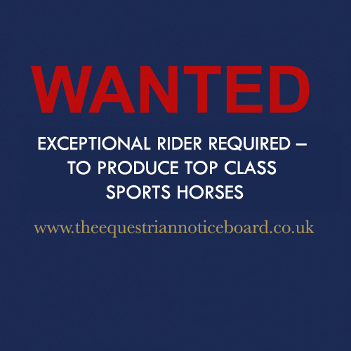 Exceptional Rider Required – To Produce Top Class Sports Horses