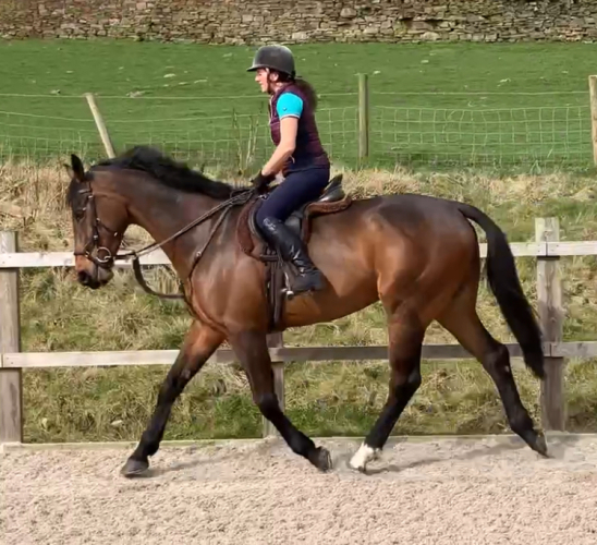 Seriously Smart Hunter/ All rounder