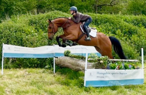 Beautiful & Well Bred SJ / Event / Hunt / Allrounder