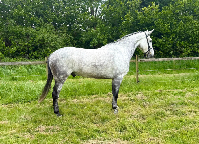 Outstanding Allrounder / Hunt / SJ / Event