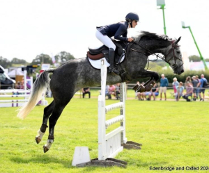 Super all-rounder mare 