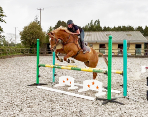 HUNTER/ALLROUNDER