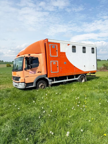 Mercedes Horsebox/Hounds