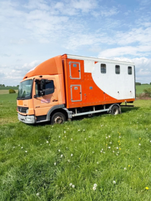 Mercedes Horsebox/Hounds