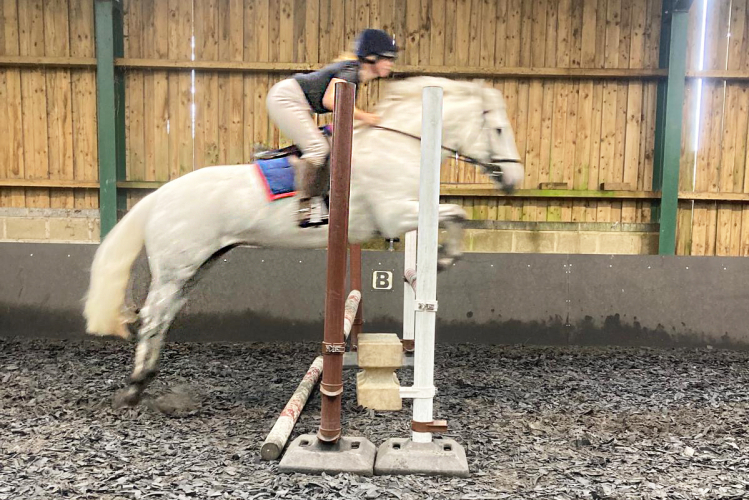 14.2 Class 1 Connemara Mare