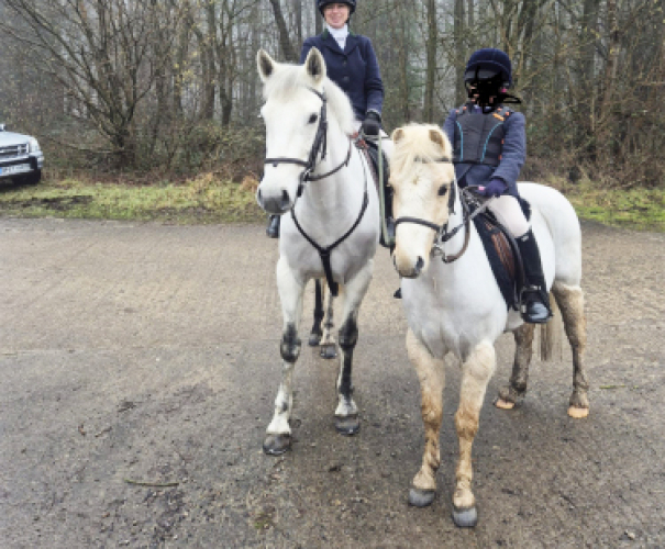 14.2 Class 1 Connemara Mare