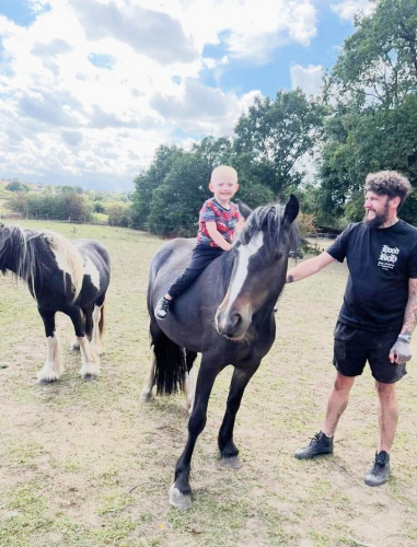 Sweet Natured 13.2hh Cob Cross