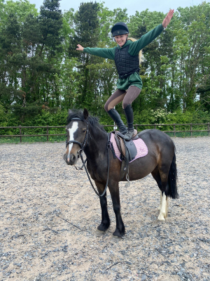 Sweet Natured 13.2hh Family Pony
