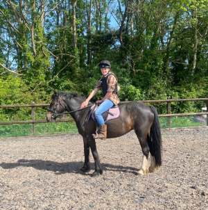 Sweet Natured 13.2hh Cob Cross