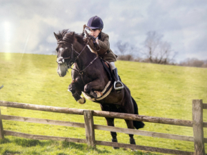 Flashy Heart of Gold Hunt Pony/ All Rounder