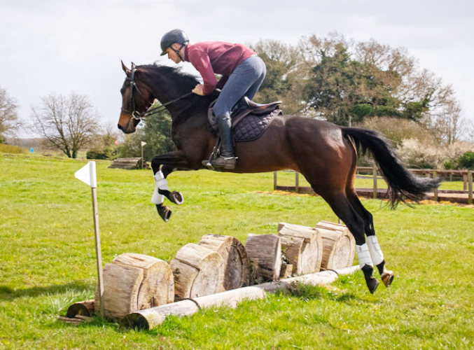 Absolutely Stunning Young Rider/Event Horse prospect