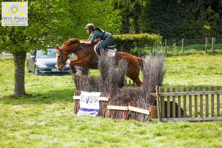 Stunning 10yo Chestnut Mare 'Castletown Sally'