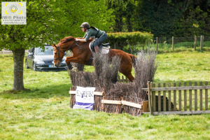 Stunning 10yo Chestnut Mare 'Castletown Sally'
