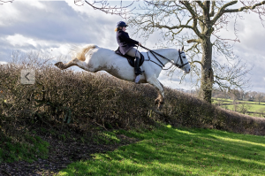 WANTED - Rural flat / annex / cottage to rent for Professional couple (NHS Dr & mature vet student) - Telford / Newport / Shrewsbury area, Shropshire