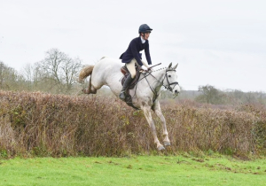 Hunter/ Allrounder
