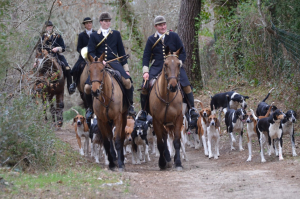 Wanted –Whipper-in for a French Hunt 