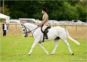TOP CLASS ALLROUNDER/ GRASSROOTS EVENTING/ SHOWING/ LADIES HUNTER